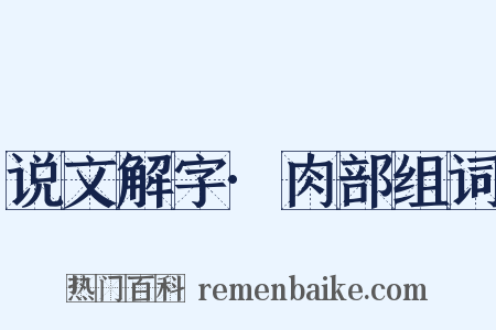 说文解字·肉部组词是什么意思的图片